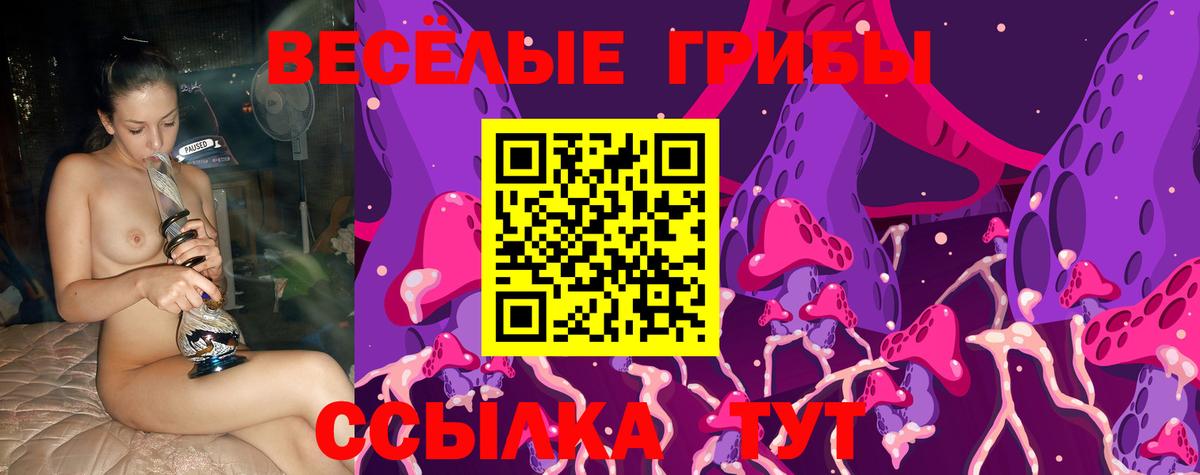 Галлюциногенные грибы мицелий  что такое   Апрелевка  Галлюциногенные грибы ЛСД  Вход с VPN 